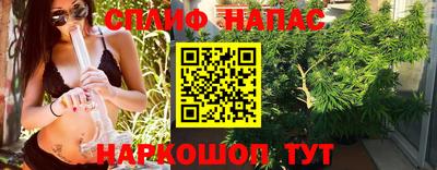 ешки Можга