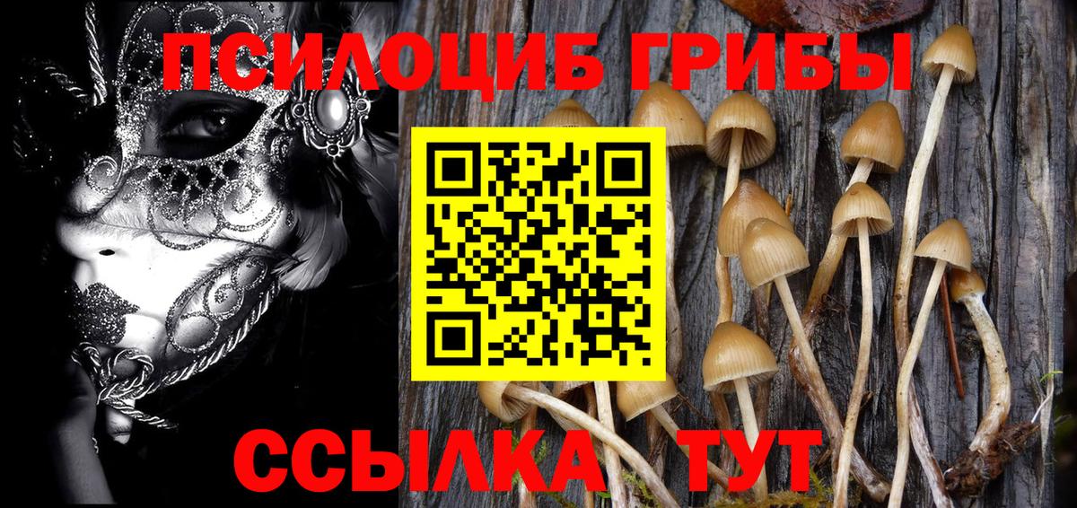 Галлюциногенные грибы GOLDEN TEACHER Белогорск