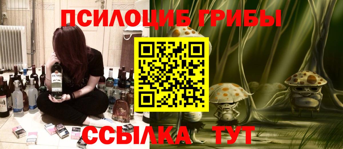 Псилоцибиновые грибы мицелий  где можно купить   Белогорск  Вход с VPN  Галлюциногенные грибы Psilocybine cubensis 